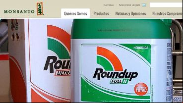 El glifosato, principio activo del herbicida Roundup de Monsanto, en la mira.