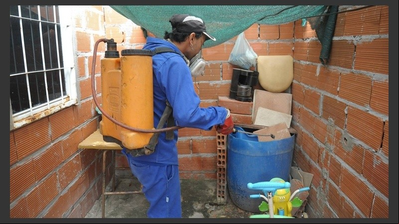 Los casos de dengue autóctono son 13 en Rosario.