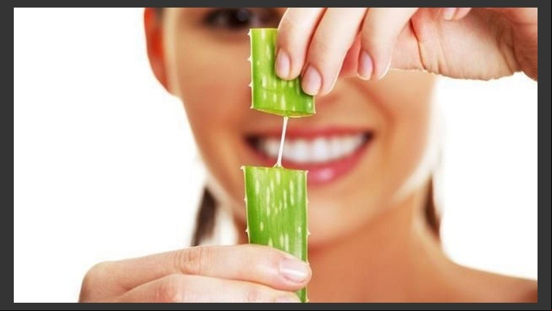 Existen geles corporales, shampús, acondicionadores, lociones, máscaras capilares y serums elaborados en base a puro aloe vera orgánico.
