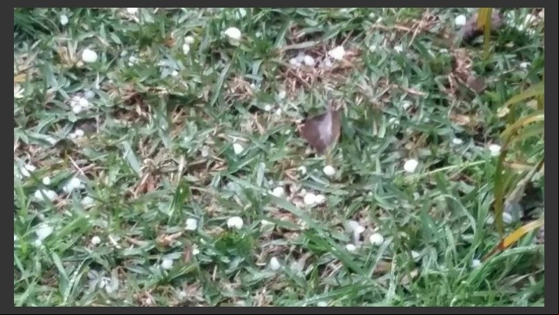 El granizo que cayó en Timbúes.