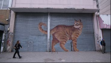 Así quedaron las persianas de los comercios intervenidas por los artistas.