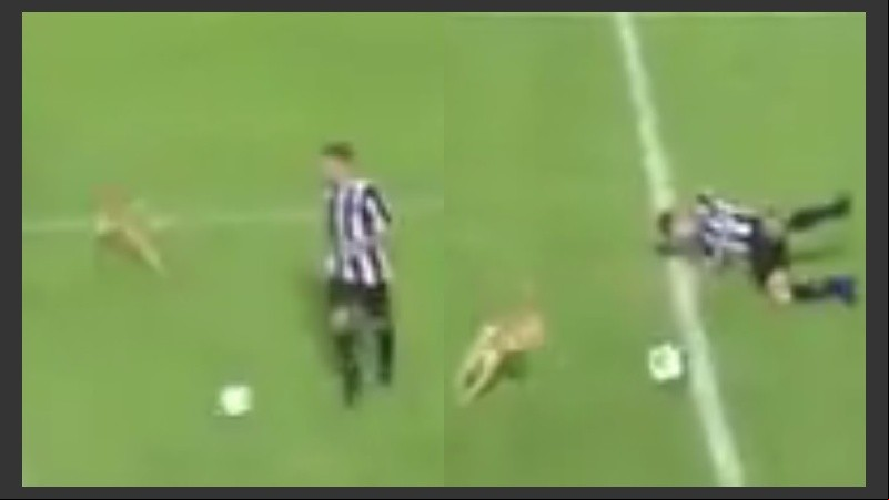 Tirado en el cesped, así quedó el jugador tras la falta del perro.