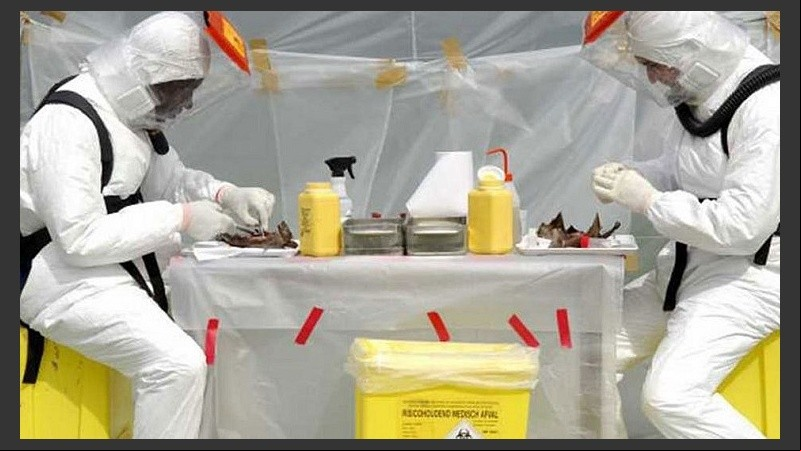 Hasta el momento sólo se confirmaron dos casos en laboratorio.