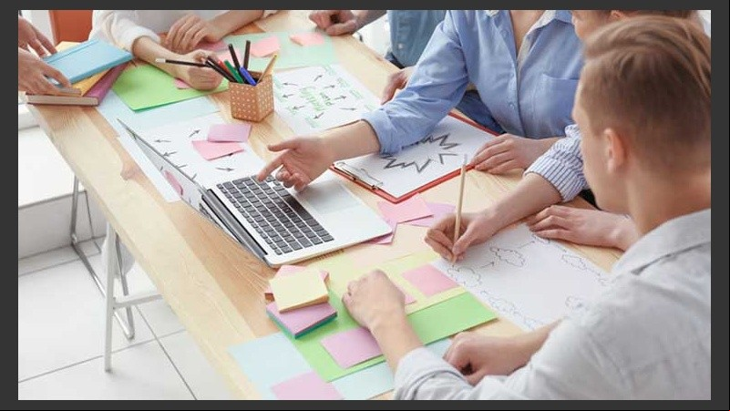 Young team working with marketing plan in office