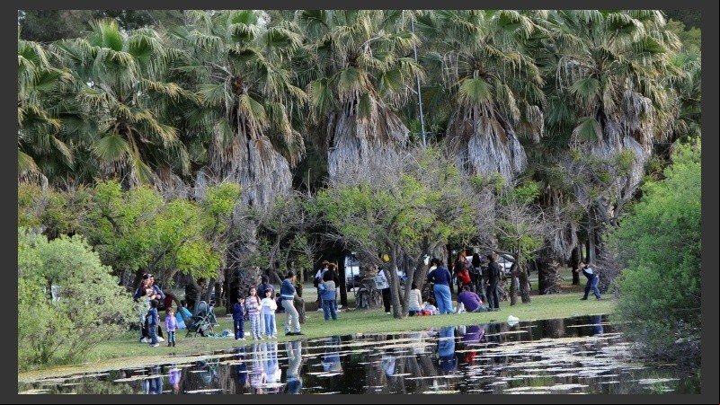 El Bosque de los Constituyentes, un espacio que vale la pena conocer.