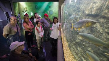 El Acuario es un portal hacia el mundo interior del río Paraná.