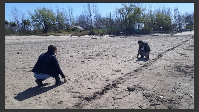 El equipo trazó cuadrículas y tomó muestras de seis playas.