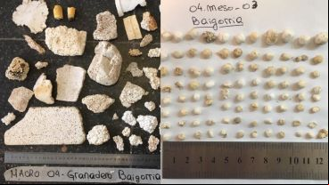 Muestras de macroplásticos y mesoplásticos hallados en Granadero Baigorria.