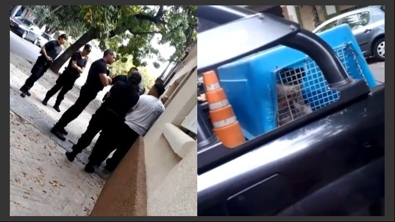 La policía entró a la casa y sacó a los perros en caniles.