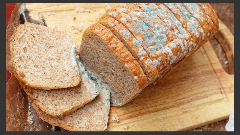 Si no se actúa a tiempo con el producto con moho, infectará al resto de la comida que tenga cerca.