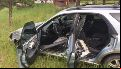Luego de que el animal ingresara al coche las puertas se cerraron.