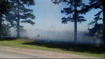 Fuego en el perímetro del campo en Andino.