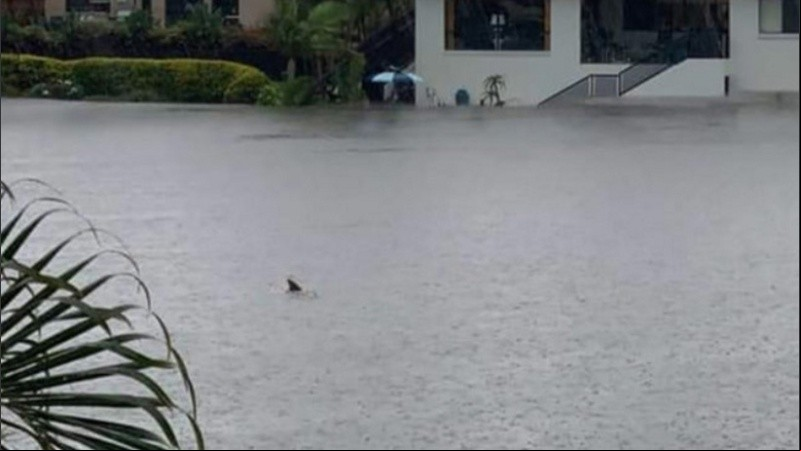 El  de Facebook Brendan Horne, de la localidad de Burleigh Heads (Queensland) compartió la imagen de la calle anegada y 