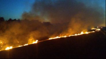 El humo crece en las islas y llega a la ciudad. Rosario amaneció irrespirable este lunes.