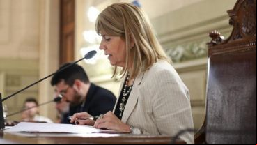 Rodenas durante la sesión que encabezó ayer en el Senado.