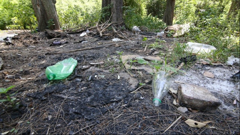 El monte sufre tala de árboles, quema de pastizales y se puede ver acumulación de basura. 