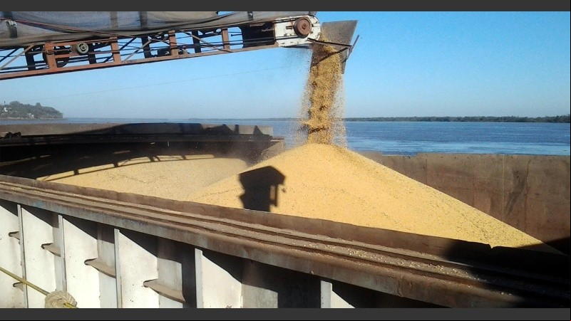 El cambio comprenderá esencialmente a los grandes productores.