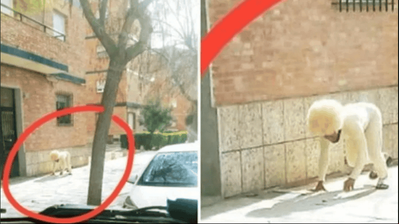 Para muchos el comportamiento del hombre fue irresponsable.