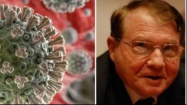 Montagnier citó el estudio de un grupo de investigadores del Instituto Indio de Tecnología.