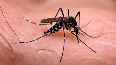El primer caso mortal por dengue en Rosario.
