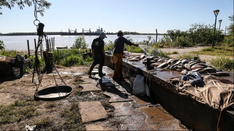 Pesca indiscriminada y bajante: condimentos que habilitaron la medida. 