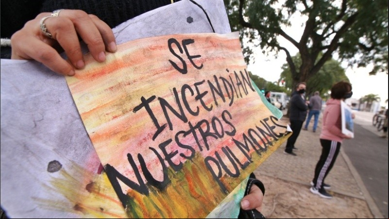 Imágenes de la marcha que se llevó a cabo en la rambla Catalunya por las quemas en las islas. 