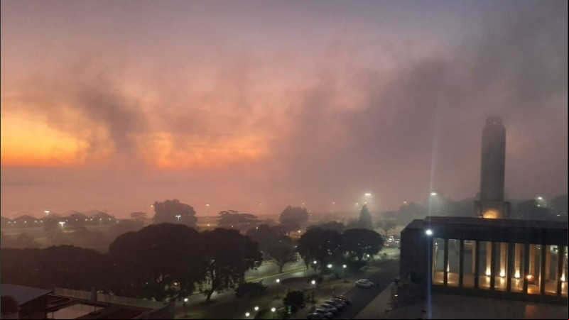 Los incesantes incendios no sólo afectan la calidad de vida de la población sino que destruyen el ecosistema del delta del río Paraná.