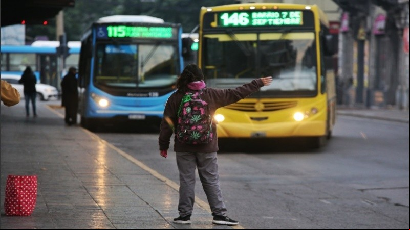 Otra vez los bondis en la calle. 