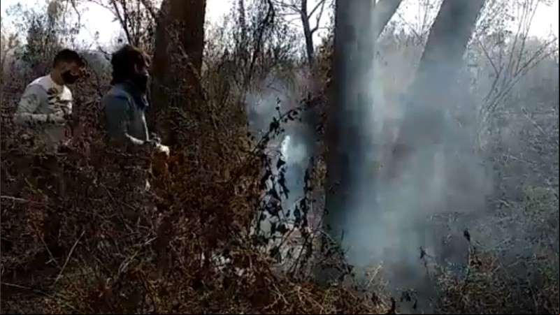 Los voluntarios en el combate del fuego.