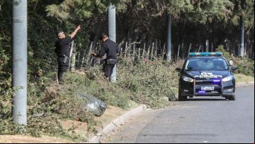 El lugar del siniestro vial fatal, en el parque Scalabrini Ortiz.