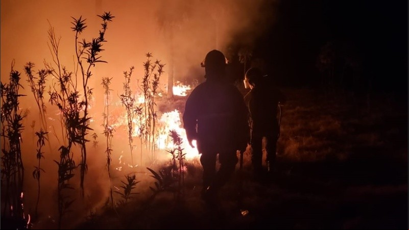 El fuego afectó varias hectáreas en el departamento Vera.
