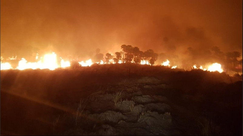 Los campos incendiados en el norte provincial.
