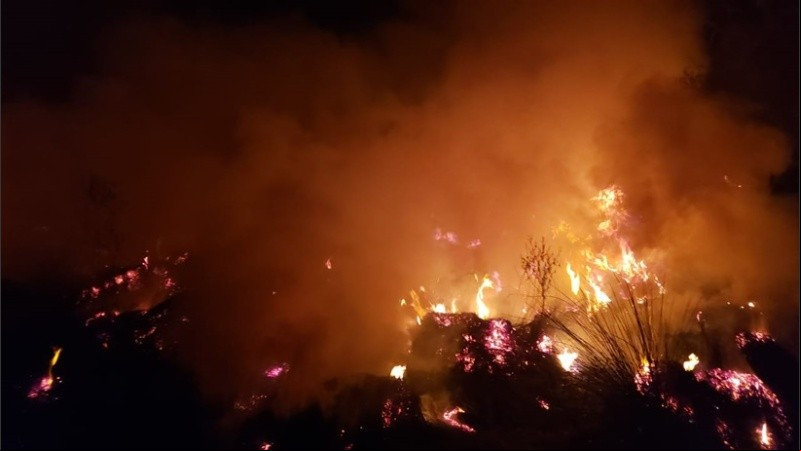 Bomberos Zapadores actuaron en el combate de las llamas.