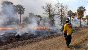 Los campos incendiados en el norte provincial.