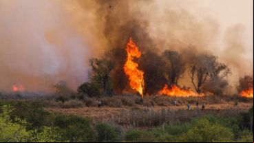 El fuego en el Delta del Paraná