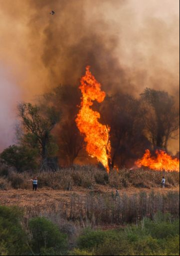 Los datos detrás del humo: el año del fuego en las islas, mes por mes