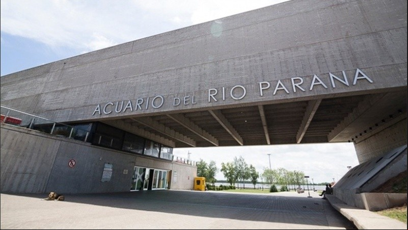 El acuario funciona como centro de carga de datos de covid-19.