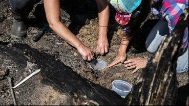 El trabajo de investigación en las islas frente a Granadero Baigorria.