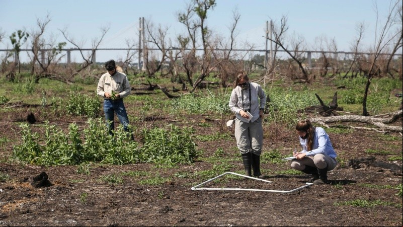 El trabajo de investigación en las islas frente a Granadero Baigorria. 