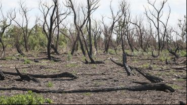 El trabajo de investigación en las islas frente a Granadero Baigorria.