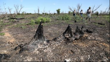El trabajo de investigación en las islas frente a Granadero Baigorria.