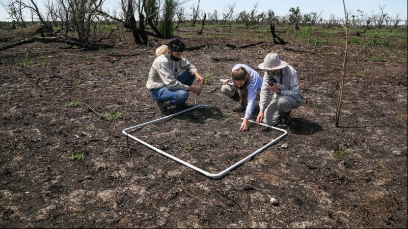 El trabajo de investigación en las islas frente a Granadero Baigorria. 