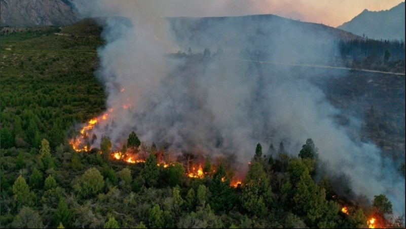 Los incendios se originaron de manera simultanea 