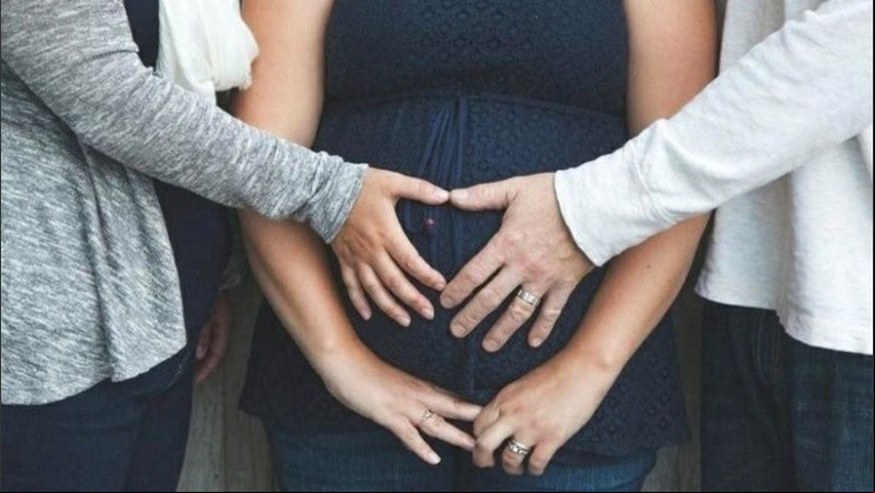 La gestación solidaria es una técnica humana de reproducción asistida que, pese a no estar debidamente regulada en el sistema normativo argentino, no se encuentra prohibida.