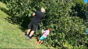 La foto más tierna de Lifschitz, junto a su nieta juntando higos