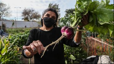 Trabajar con la tierra: así es por dentro el Parque Huerta Oeste.