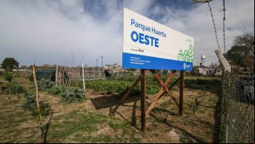 Trabajar con la tierra: así es por dentro el Parque Huerta Oeste.