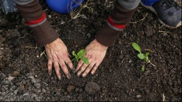 Trabajar con la tierra: así es por dentro el Parque Huerta Oeste.