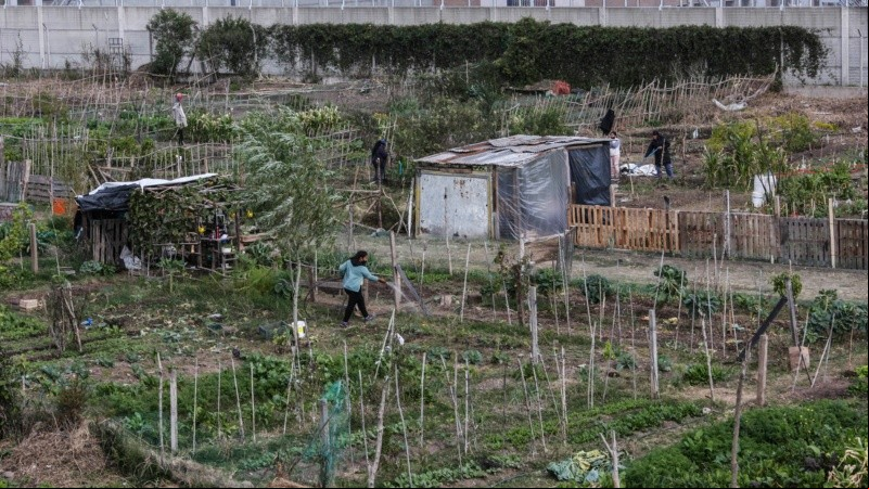 Trabajar con la tierra: así es por dentro el Parque Huerta Oeste.