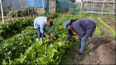 Trabajar con la tierra: así es por dentro el Parque Huerta Oeste.